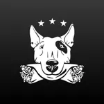 Shava House | Светлогорск icon