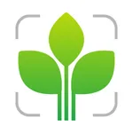 Leaf Identification Plant ID icon