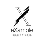 Example Sport icon