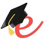 e-Solution icon