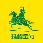 珠峰金勺 icon