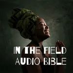 In the Field Audio Bible icon