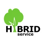 Hybrid Service icon