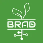 Brad Dashboard icon