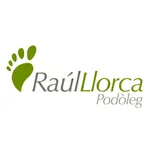 Raúl Llorca icon