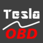 TeslaOBD icon