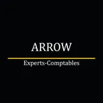 Arrow Experts Comptables icon