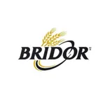 Bridor - Wellness icon