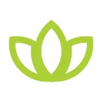 Flower Pot icon