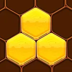 Honeycomb Hexa Block Puzzle icon