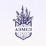 АЭМСЗ icon