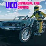 Universal Car Driving icon