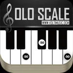 Solo Scale Controller icon