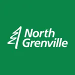 NG Green icon