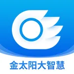 金太阳大智慧 icon