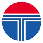 元通汽车 icon