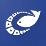 Efice Clock icon