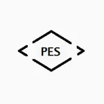 Pes Electrical Online icon