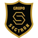 Grupo Segtron icon