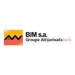 BIM Mobile Banking icon