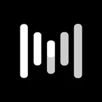 Raydio - Audio Inklusion icon