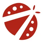 Co-pilotes icon