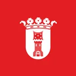 Aniñón icon