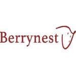 InfoSign Berrynest icon