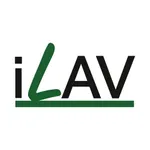 iLav icon