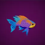 Fish Feeding icon