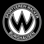 SVW icon