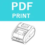 Sanei PDF Print icon