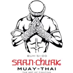 Thaiboksen icon