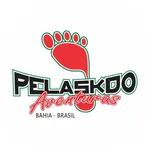 Pelaskdo icon