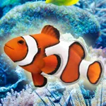 Touch the fish! - Aquarium Sim icon