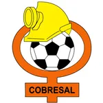 Cobresal icon