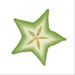StarFruit icon