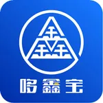 多鑫宝 icon