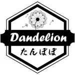 DandelionExpenses icon