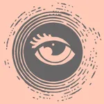 EYE2EYE Client Connect icon