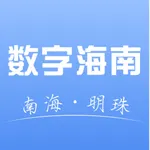 数字海南 icon