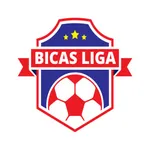 Bicas Liga icon