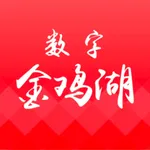 数字金鸡湖 icon