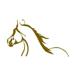 Horse Auctions USA icon