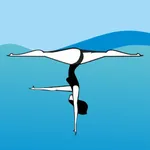 SwimmingGo icon