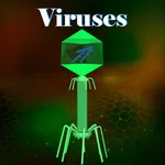 Learn Viruses icon