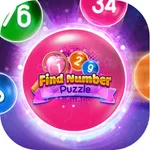 Find Number Puzzle icon