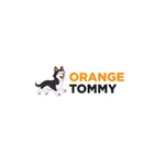 Orange Tommy - Chandler icon