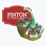 PINTON icon