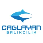 Çağlayan Balık icon